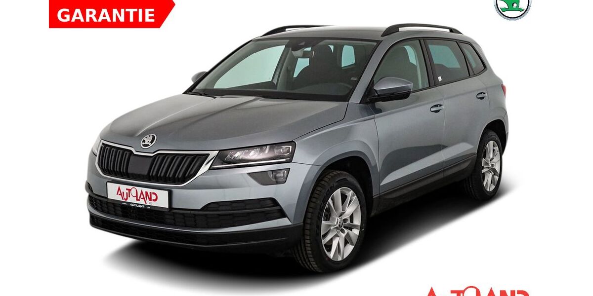 Skoda Karoq 48.386 km 20.990 &euro; Cottbus OT Kolkwitz 03099