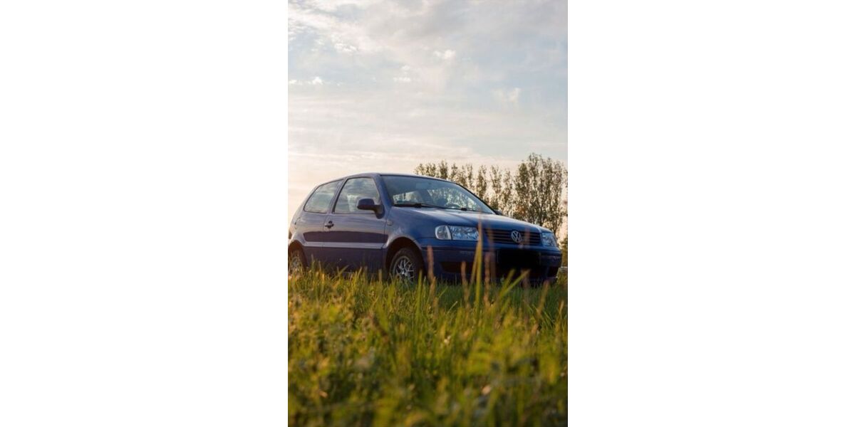VW Polo 255.000 km 650 &euro; Forst (Lausitz) 03149